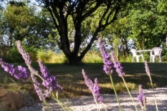 IMG_20190711_191547999_HDR