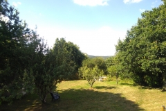 IMG_20190714_172244503