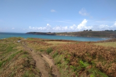 IMG_20190811_145317889