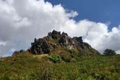 IMG_20190818_164355796_HDR